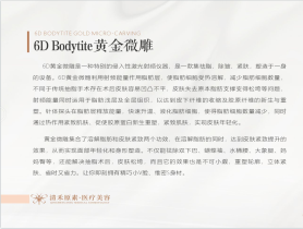 6D Bodytite黃金微雕